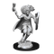 D&D - Unpainted Changeling Cleric