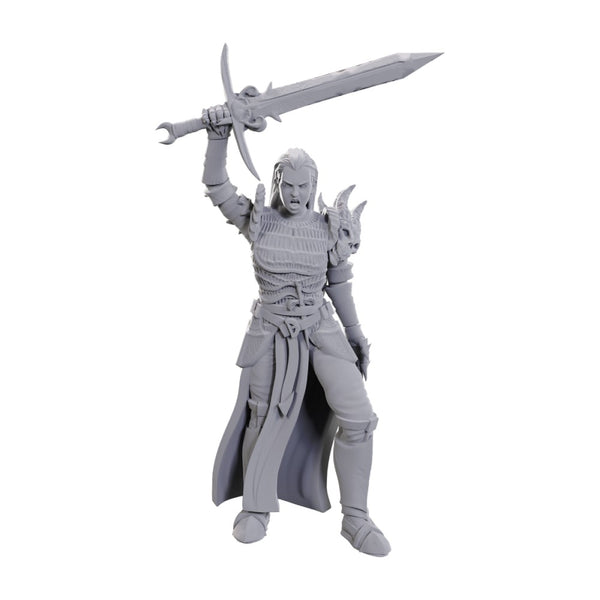 D&D Nolzur's Marvelous Miniatures: Blackguard