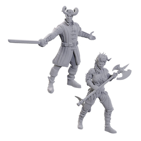 D&D Nolzur's Marvelous Miniatures: Special Edition Baldur's Gate 3: Wyll & Karlach