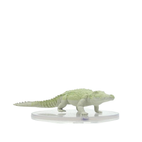 Crocodile (albino) - Ghost Light - #29B