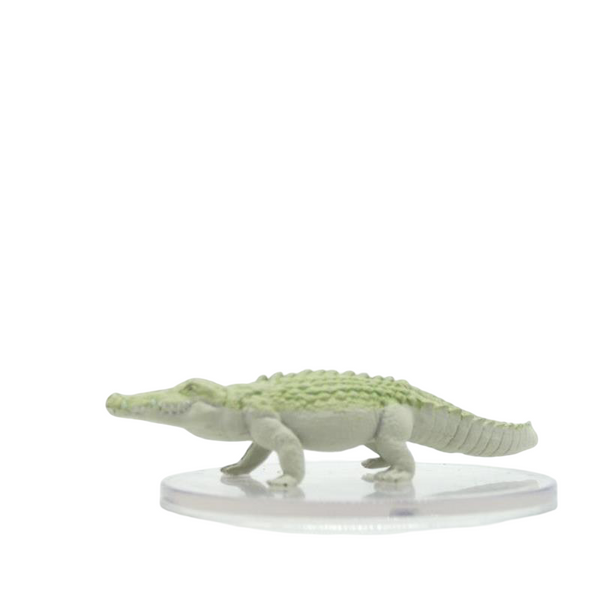 Crocodile (albino) - Ghost Light - #29B