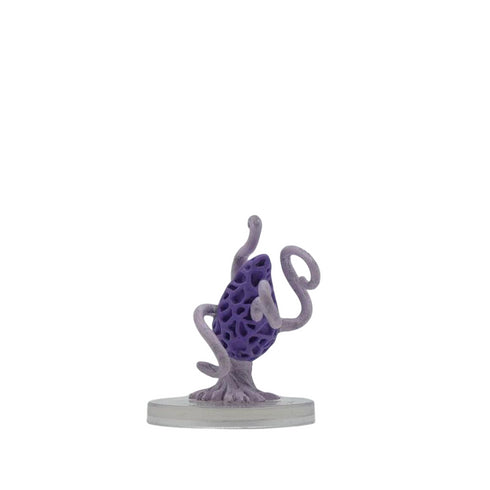 Violet Fungus - Ghost Light - #13