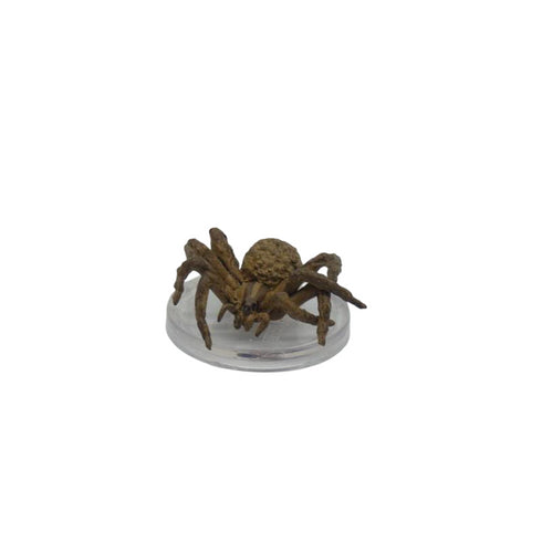 Giant Wolf Spider - Ghost Light - #21