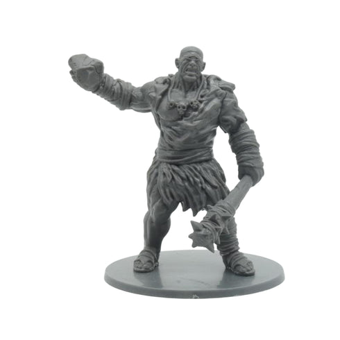 Wildspire Miniatures: Realm Reforged: Cyclops