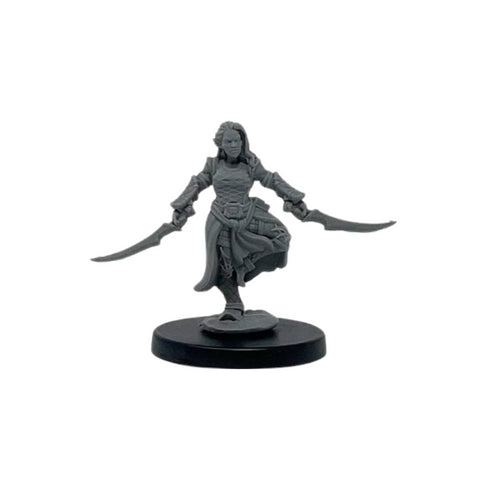 Drow Assassin - Next Level Miniatures: Dragon's Hoard Miniatures Vol. 1