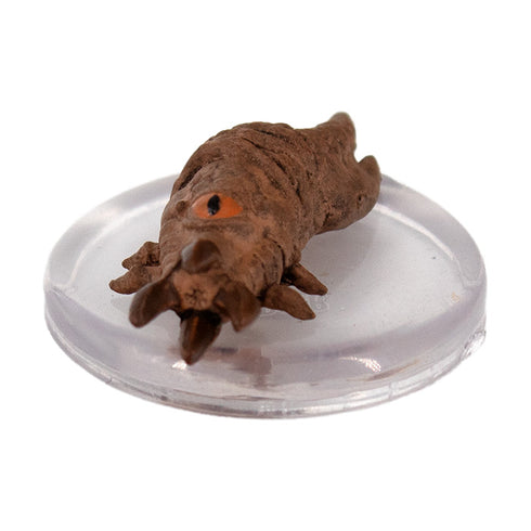 Piercer - Underdark expeditions - #08