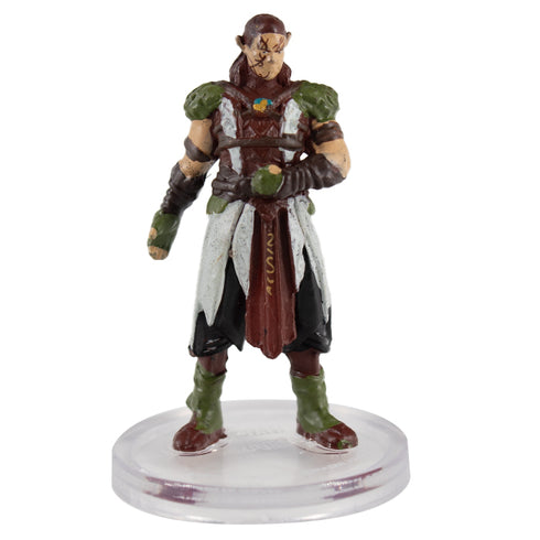 Halsin - Adventures from Baldur's Gate  - #29