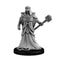 Aberrant Magus - Next Level Miniatures
