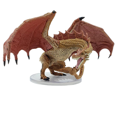 Wyvern - Adventures in Faerun - Icons of the Realms #41