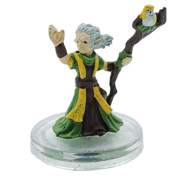 Gnome Emerald Enclave Druid - Adventures in Faerun - Icons of the Realms - #37