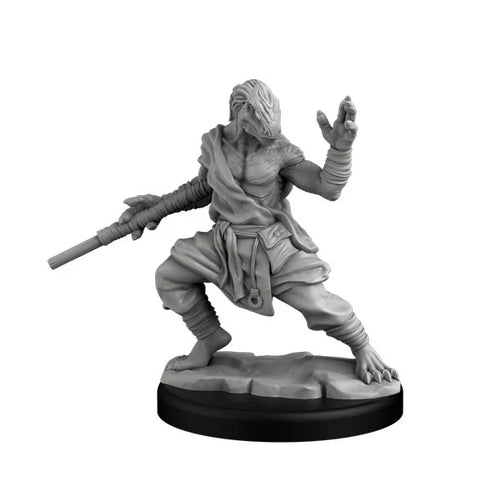 Dragonborn Monk - Next Level Miniatures