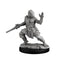 Dragonborn Monk - Next Level Miniatures