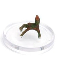 Crawling Hand - Boneyard - Dungeons & Dragons - #3