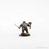 Icons of the Realms: D&D Premium Miniatures Wave 2: Dwarf Fighter - Male