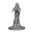 Pathfinder Deep Cuts: Familiars (Bat, Fox, Badger) - Unpainted