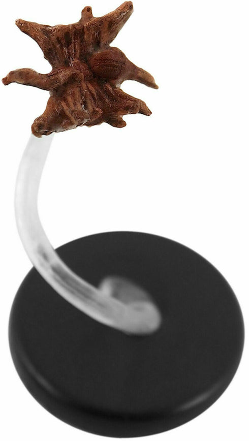 Stirge - Monster Menagerie III - 3/45