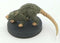 Giant Rat - Monster Menagerie II - 1/44