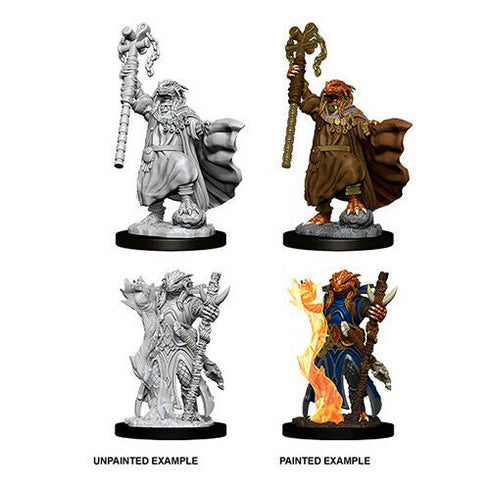 D & D Nolzur's Marvelous Minis - Dragonborn Sorcerer (Female) - Unpainted