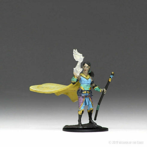 Icons of the Realms: D&D Premium Miniatures Wave 1: Elf Druid - Female