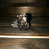 Minotaur Mangler - Lords of Madness - Dungeons & Dragons Miniatures (DDM) #31