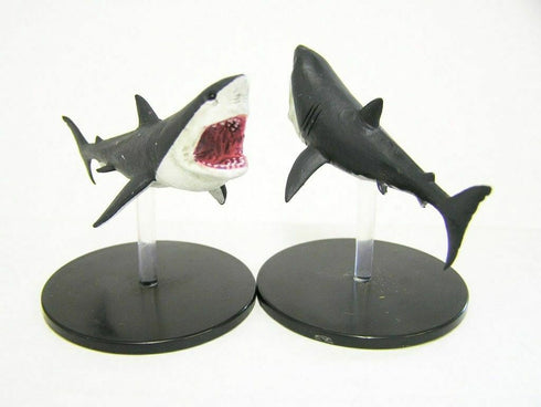 Shark - Skulls & Shackles - 32/55