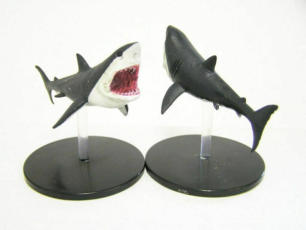 Shark - Skulls & Shackles - 32/55