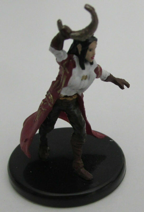 Sun Elf Arcane Cleric - Waterdeep Dragon Heist - 22/45
