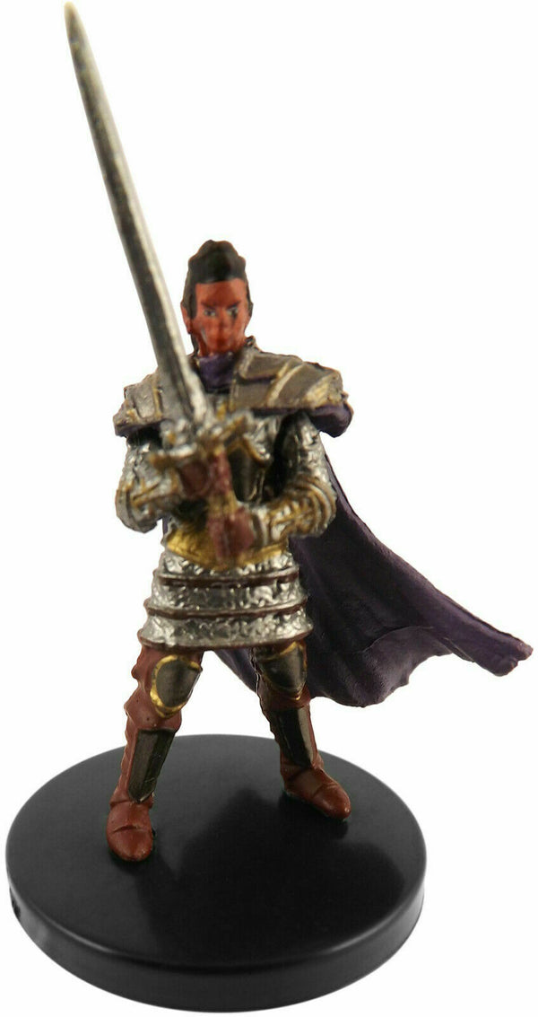Human Paladin of the Oath of Vengeance Waterdeep Dungeon of the Mad Mage - 23/44