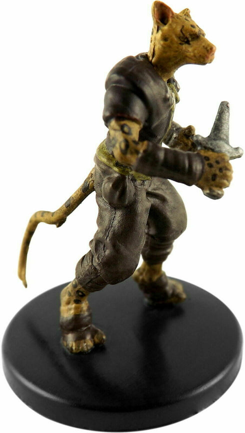 Tabaxi Hunter - Tomb of Annihilation - 21b/45