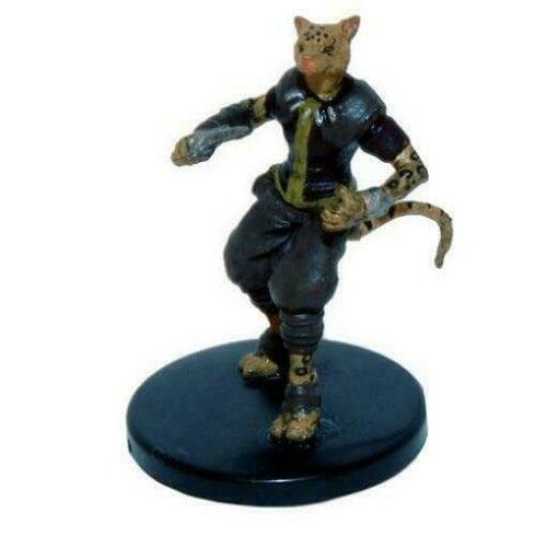 Tabaxi Hunter - Tomb of Annihilation - 21b/45