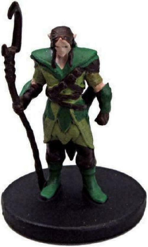 Wood Elf Druid - Tyranny of Dragons - 16/45