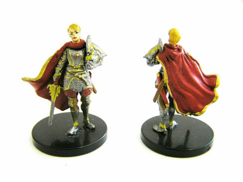 Human Paladin Commander - Jungle of Despair - Pathfinder / D&D 39/45 Rare