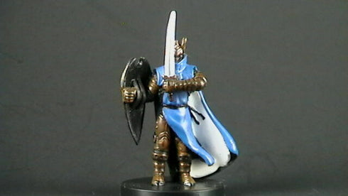 Stalwart Paladin - Dragoneye - Dungeons & Dragons Miniature (DDM) - #8