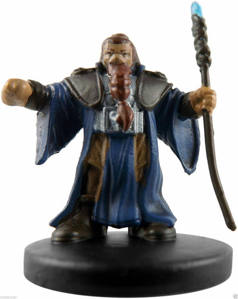 Shield Dwarf Wizard - Rage of Demons - 8/55