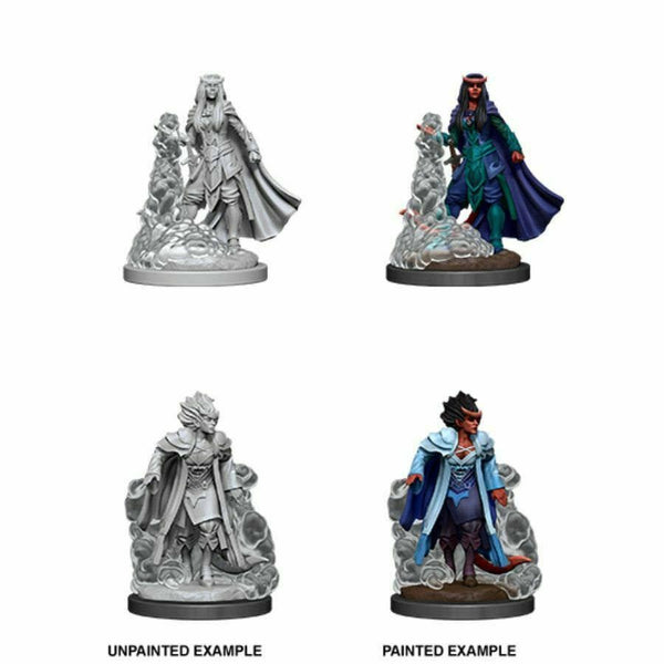 D&D Nolzur's Marvelous Miniatures - Tiefling Sorcerer (Female) - Unpainted