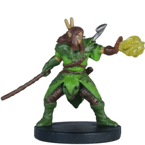 Icons of the Realms: Epic Level Starter Set