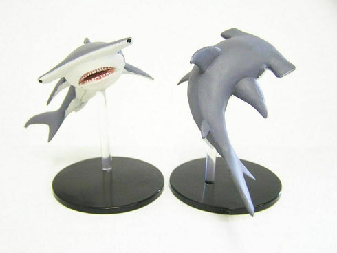 Hammerhead Shark - Skulls & Shackles - 33/55