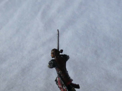 Reya Mantlemorn (Fighter) - Baldurs Gate: Descent into Avernus - 7/45