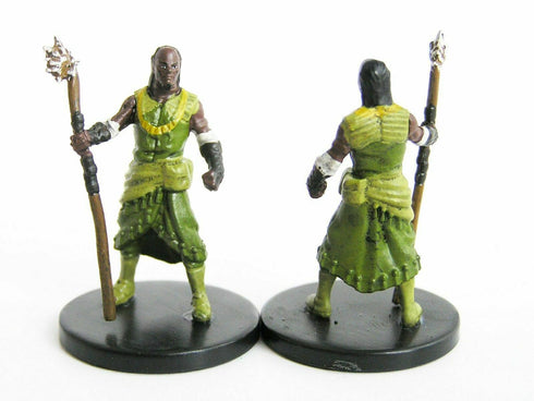 Qawasha Human Druid - Tomb of Annihilation - 7a/45