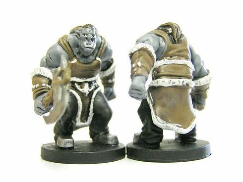 Orc Fighter - Tyranny of Dragons - 10/51