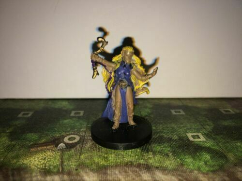 Lanin, Elf Wizard - Dungeons & Dragons Basic Game