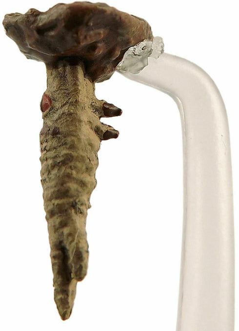 Piercer - Waterdeep Dungeon of the Mad Mage - 19/44