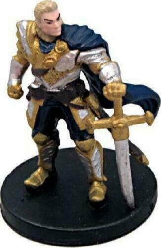 Human Paladin - Tyranny of Dragons - 8/45