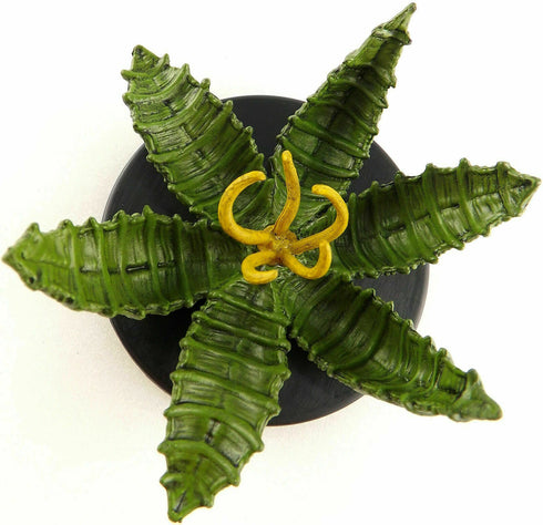 Mantrap - Tomb of Annihilation - 30/45