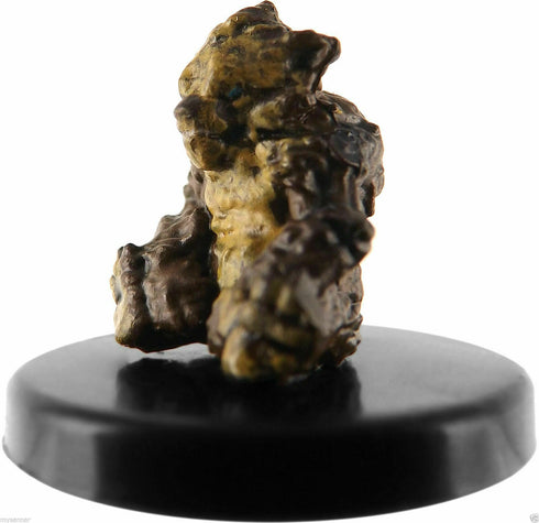 Zorbo - Tomb of Annihilation - 4/45