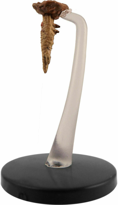 Piercer - Waterdeep Dungeon of the Mad Mage - 19/44