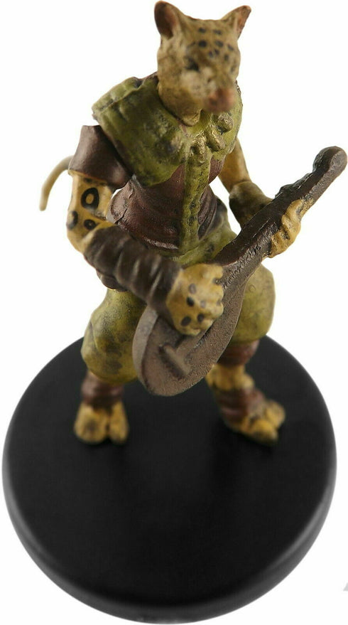 Tabaxi Minstrel - Tomb of Annihilation - 21a/45