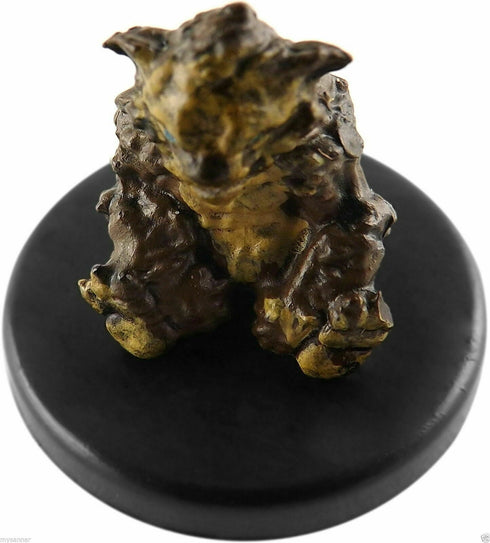 Zorbo - Tomb of Annihilation - 4/45