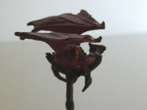 Waterdeep Dungeon of the Mad Mage Premium Case Incentive: Halaster's Lab