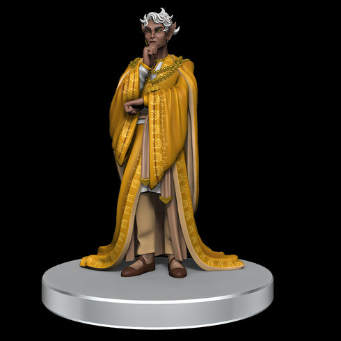 Critical Role NPCs of Wildemount